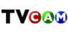 TVcam.jpg